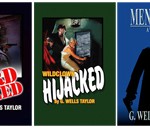 Wildclown Mysteries in the World of Change - FLASH PAGE